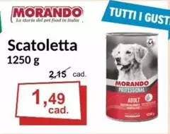 Morando - Scatoletta