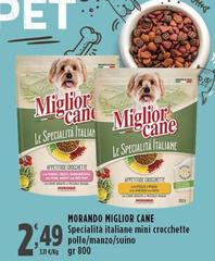 Morando - Miglior Cane