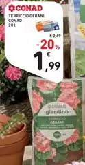 Conad - Terriccio Gerani Conad - Terriccio Gerani
