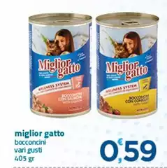 Morando - Miglior Gatto Bocconi