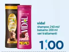 Vidal - Shampoo/ Balsamo Vidal - Shampoo/ Balsamo