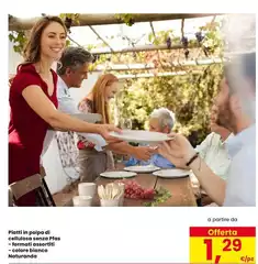 Natureta - Plattin In Polpodi Celluloso Sans Pras