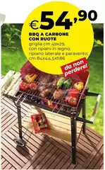 Bbq A Carbone Con Ruote