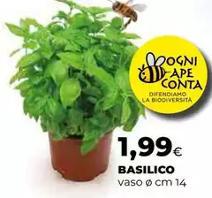 Basilico