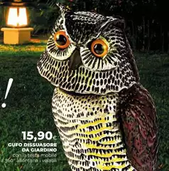 Gufo Dissuasorer Da Giardino