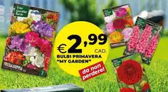 Bulbi Primavera "My Garden"