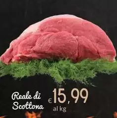 Reale Di Scottona