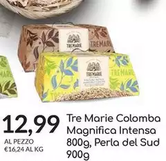 Tre Marie -  Colomba Magnifica Intensa