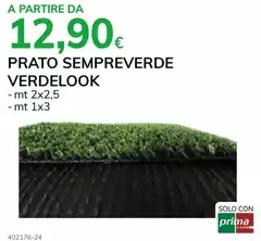 Solo - Prato Sempreverde Solo - Prato Sempreverde
