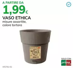 Tortora - Vaso Tortora - Vaso