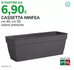 Solo - Cassetta Ninfea