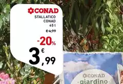 Conad - Stallatico Conad - Stallatico