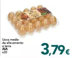 Aia - Uova Medie Da Allevamento A Terra