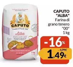 Caputo - Farina Di Grano Tenero "00" Caputo - Farina Di Grano Tenero "00"