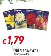 Bulbi Primaverili Bulbi Primaverili