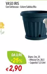 Iris - Vaso Iris - Vaso