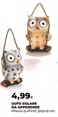 Gufo Solare Da Appendere