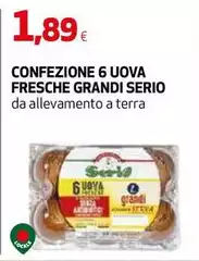 Gran cereale - Confezione 6 Uova Fresche