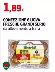 Serio - Confezione 6 Uova Fresche Grandi