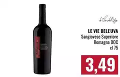 Le vie dell'uva - Sangiovese Superiore Romagna DOC Le vie dell'uva - Sangiovese Superiore Romagna DOC