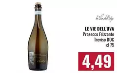 Le vie dell'uva - Prosecco Frizzante Treviso DOC