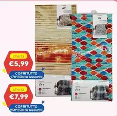 Copritutto 170'250cm