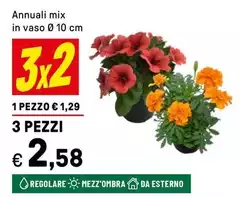 Annualí Mix In Vaso Ø 10 Cm Annualí Mix In Vaso Ø 10 Cm