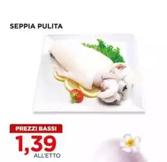 Seppia Pulita Seppia Pulita