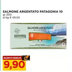 Patagonia - Salmone Argentato 10 Patagonia - Salmone Argentato 10