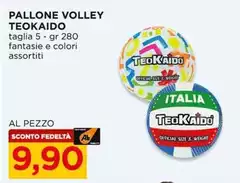 Teokaido - Pallone Volley
