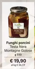 Funghi Porcini Testa Nera Montagne Golose