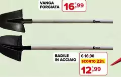 Vanga Forgiata