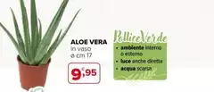 Vera - Aloe Vera - Aloe