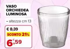 Vaso Orchiedea Luminosa