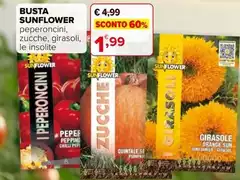 Girasole - Busta Girasole - Busta