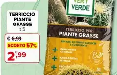 Pronto - Terriccio Piante Grasse