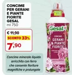 Concime Per Gerani E Piante Fiorite