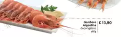 Gambero Argentina