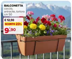 Tortora - Balconetta Tortora - Balconetta