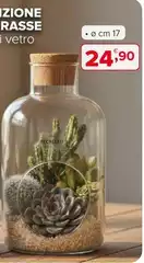 Izione Trasse Izione Trasse