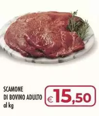 Scamone Di Bovino Adulto