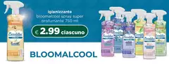 Coccolatevi - Bloomalcool Spray Super