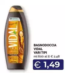 Vidal - Bagnodoccia Vidal - Bagnodoccia