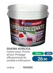 Geckos - Guaina Acrilica. 