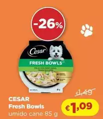 Cesar - Fresh Bowls