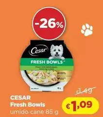Cesar - Fresh Bowls