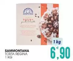Sammontana - Torta Regina