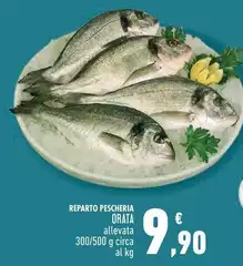 Reparto Pescheria Orata