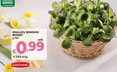 Benent - Insalata Songino Benent - Insalata Songino