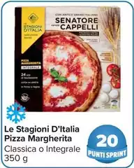 Senatore - Le Stagioni D'italia Pizza Margherita